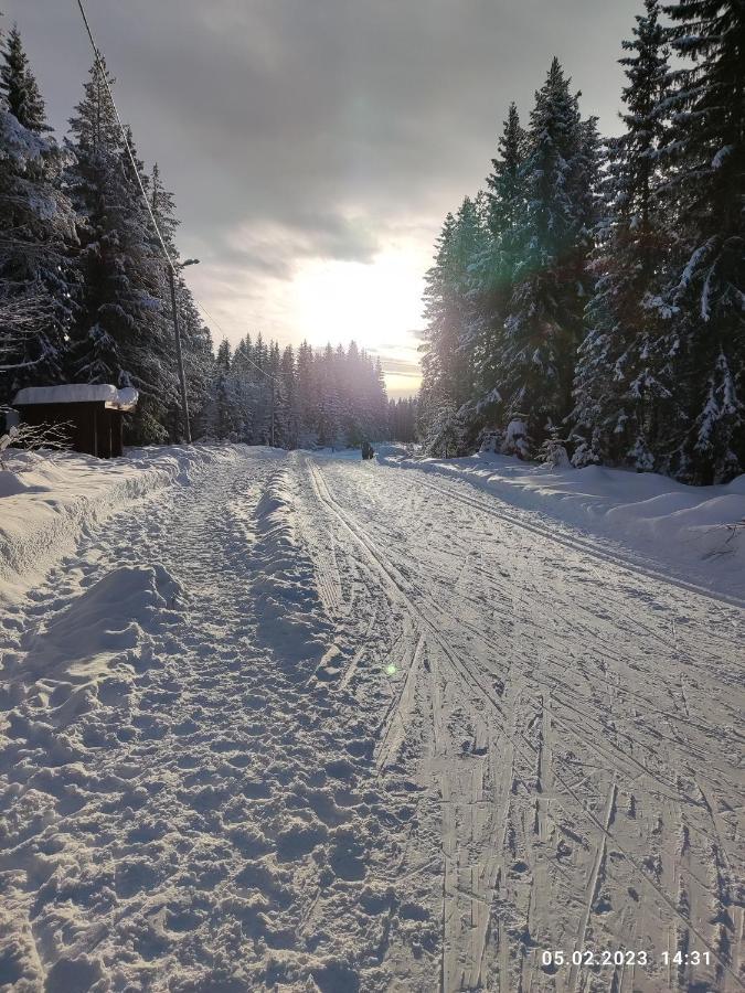 릴레함메르 Nordgards Hagen 아파트 외부 사진