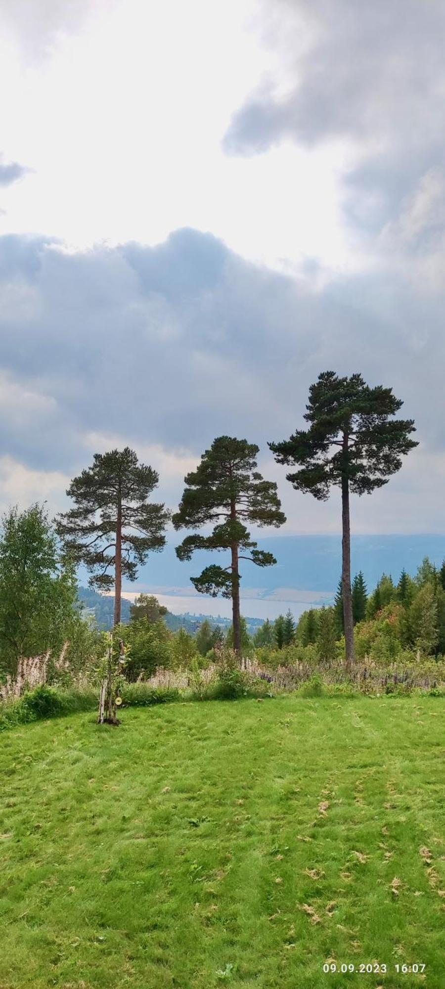 릴레함메르 Nordgards Hagen 아파트 외부 사진