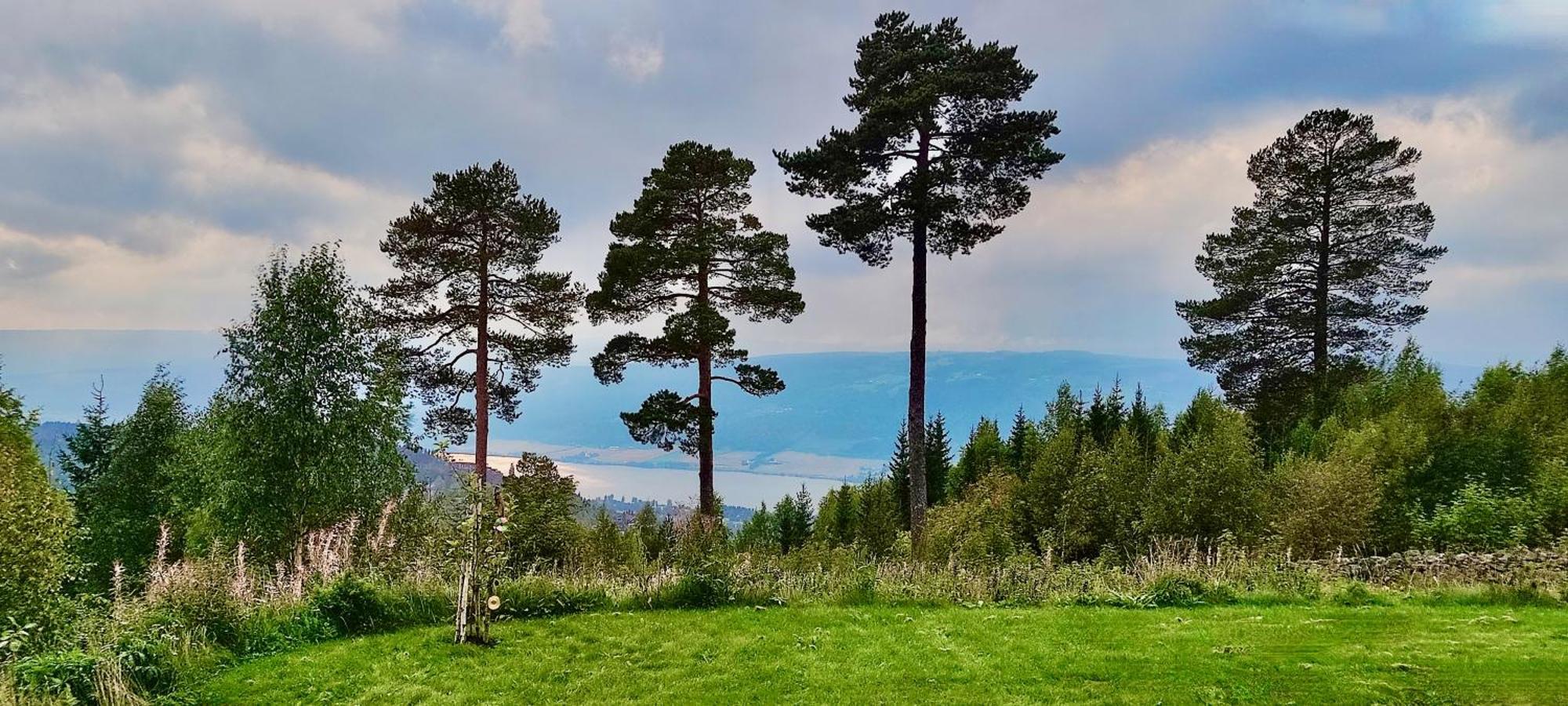 릴레함메르 Nordgards Hagen 아파트 외부 사진